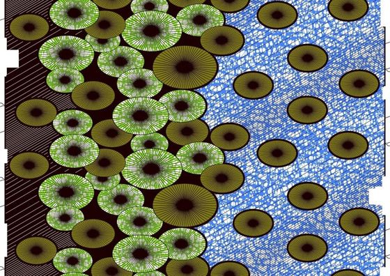 Tissu Ankara 100% coton aux couleurs vives pour les vêtements et les vêtements imprimés à la cire africaine