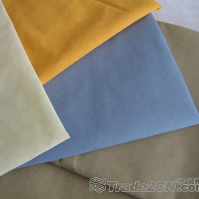 Fabrique de polyester 100% anti-statique idéal pour les vêtements de travail